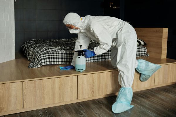 Où dénicher un nid de punaises de lit en toute simplicité ?